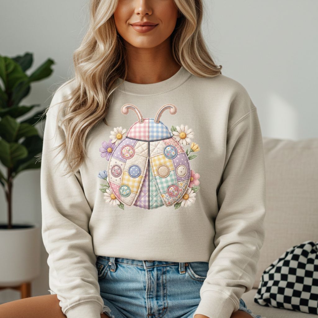 Ladybug Patch Sweatshirt