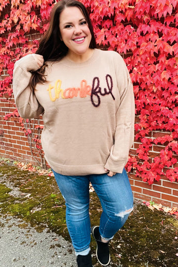 Feeling Thankful Taupe Pop Up Glittery Embroidery Sweater