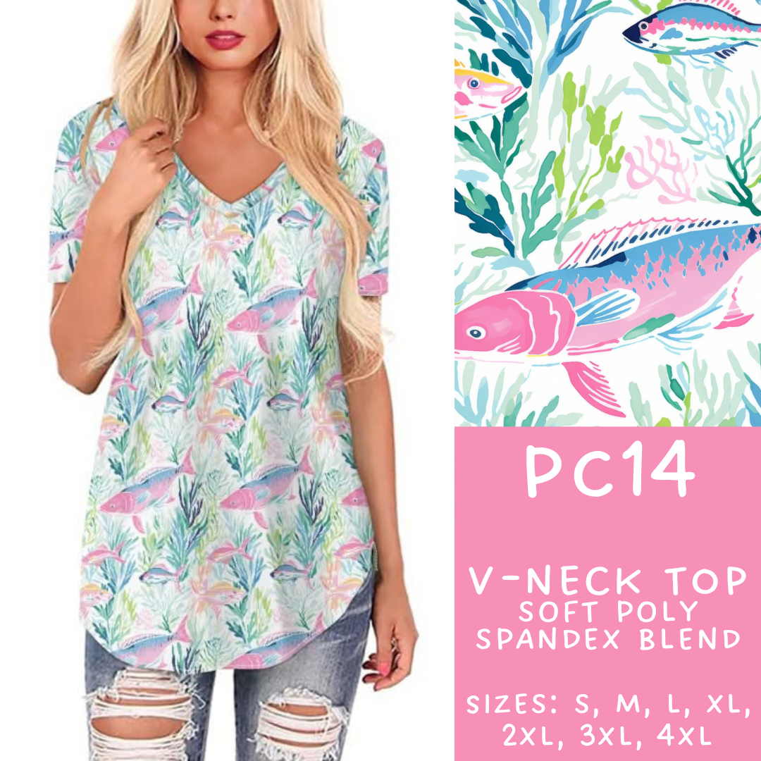 Batch #311 - Preppy Coastal - Closes 3/27 - ETA late May - PC14 V-Neck Tee