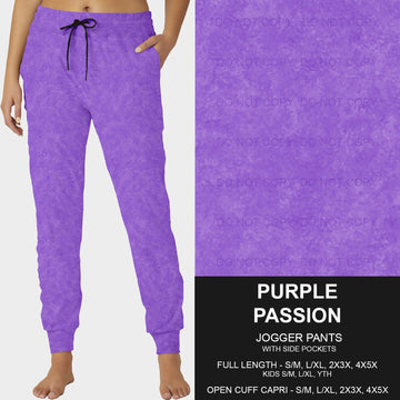 B216- Preorder Purple Passion Joggers (Closes 3/09. ETA: late May)