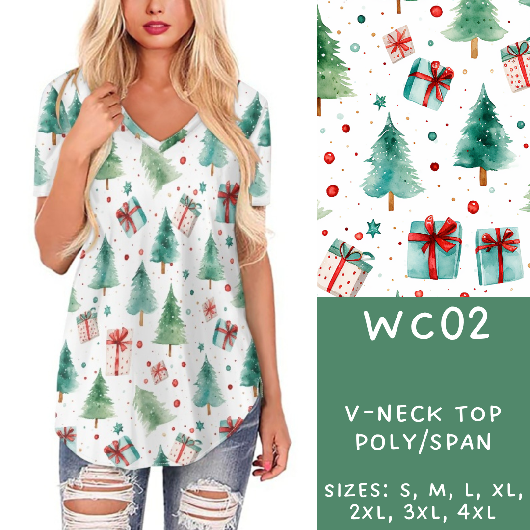 Batch #229 - Winter Watercolor - Closes 10/31 - ETA early/mid Dec - WC02 V-Neck Tee