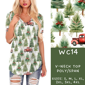 Batch #229 - Winter Watercolor - Closes 10/31 - ETA early/mid Dec - WC14 V-Neck Tee