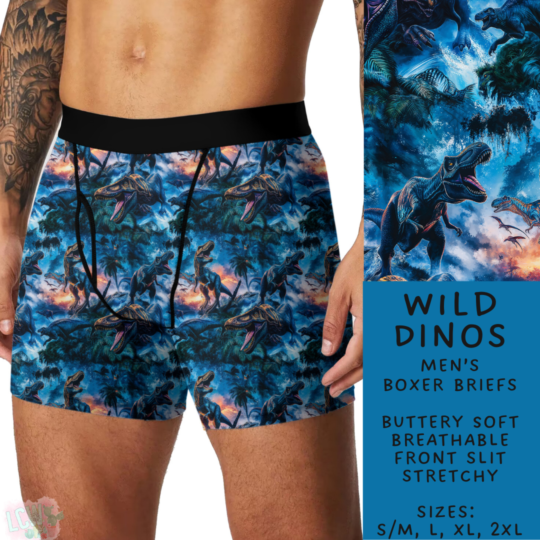 Batch #244 - Comfortable Underwear 2 - Closes 11/27 - ETA mid/late Jan - Wild Dinos Men's Boxer Briefs