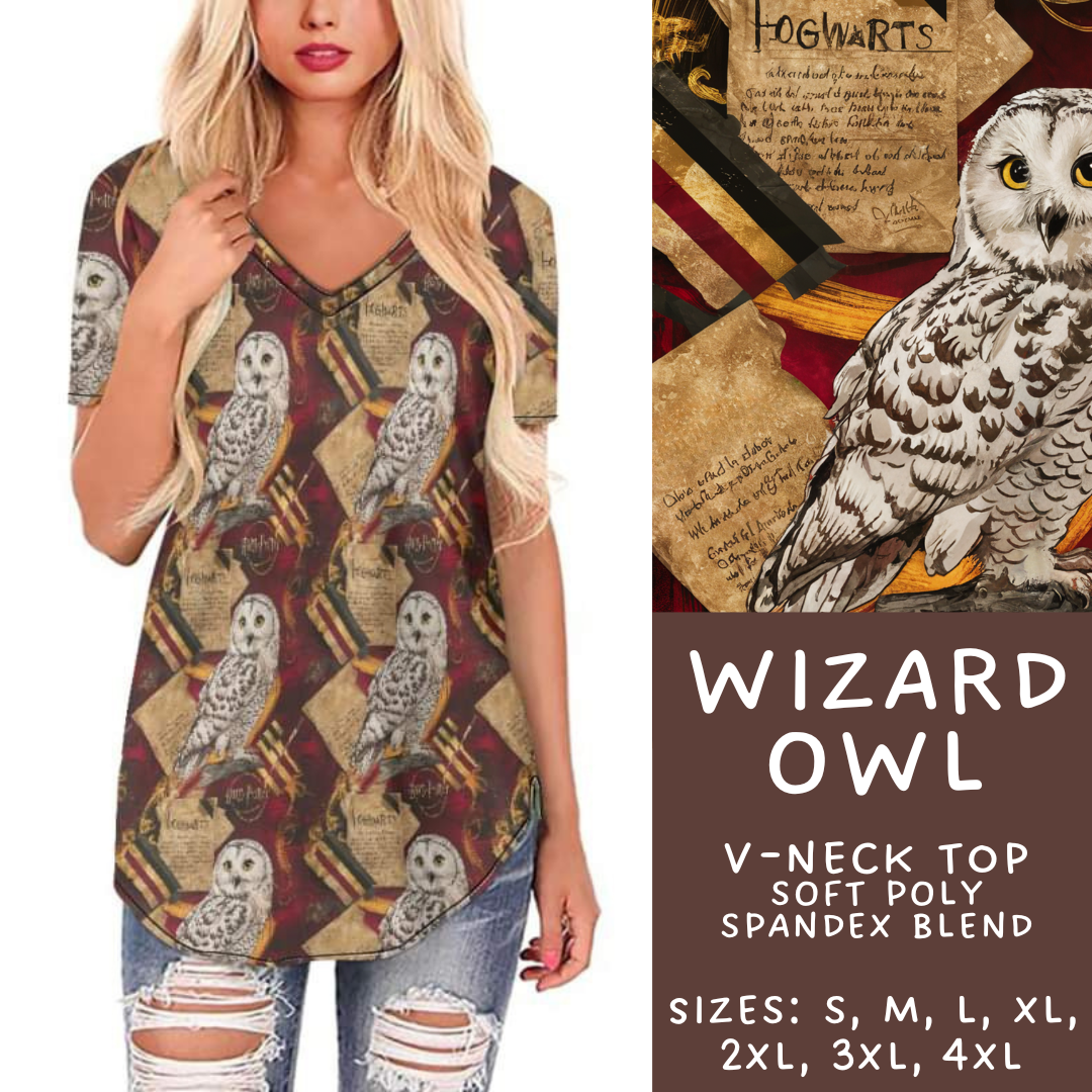 Batch #247 - Cool Characters 6 - Closes 12/2 - ETA late Jan - Wizard Owl V-Neck Tee