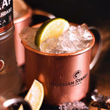 Pair (2) Russian Standard Vodka Moscow Mule Copper Coated Mug Bar Set