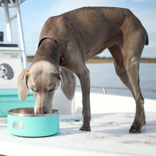 Toadfish Non-Tipping Pet Bowl