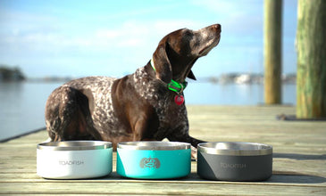 Toadfish Non-Tipping Pet Bowl