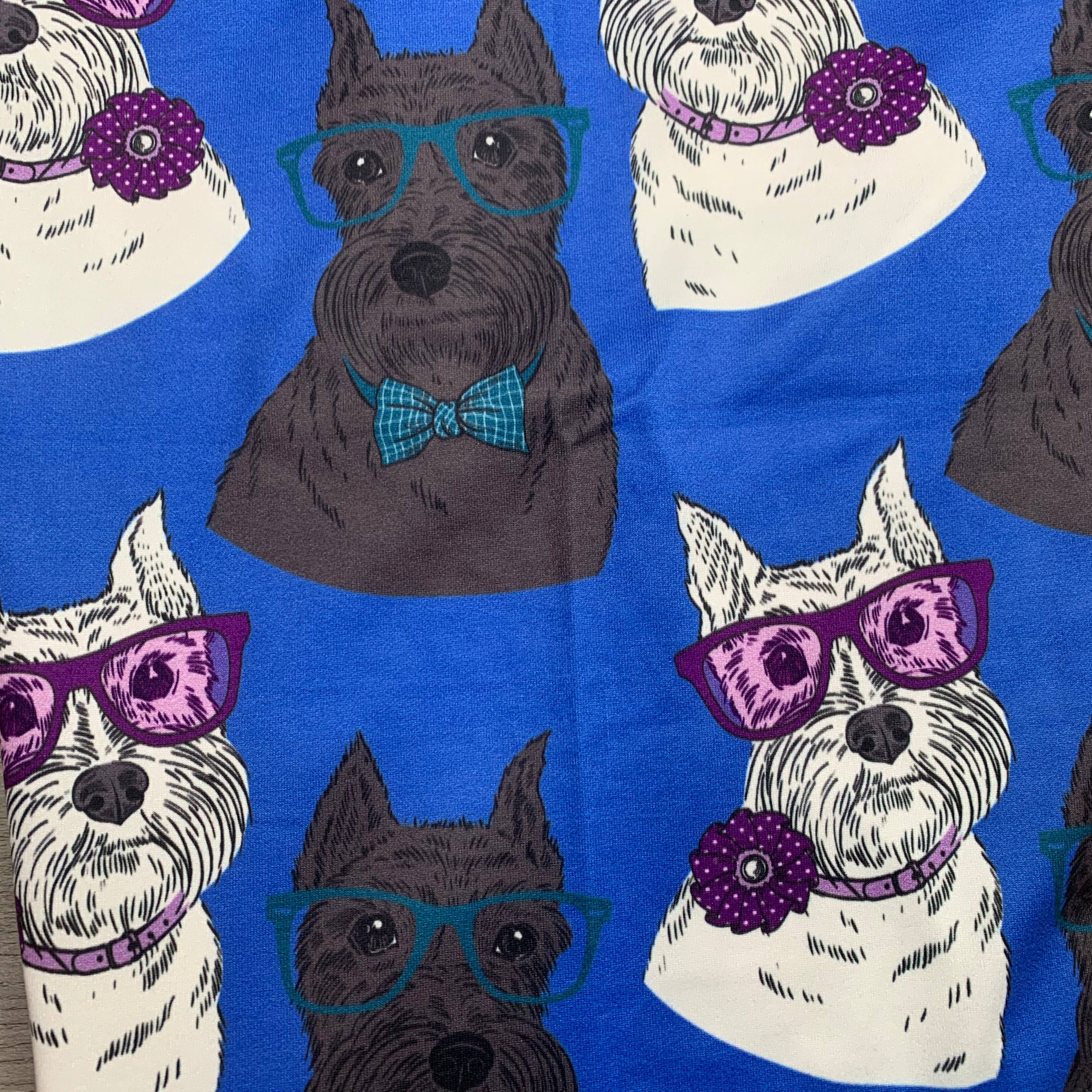 Dogs in Glasses Soft Leggings w/ Yoga Band Pocket